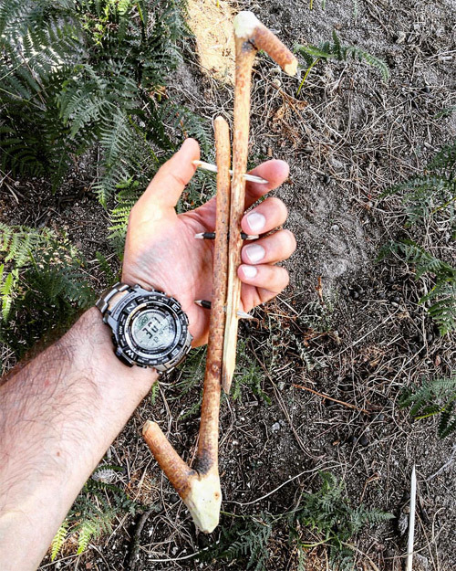 Casio PRW-3500T-7ER Casio PRW-3500T-7ER