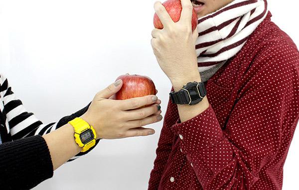 Casio DW-5600P-9ER Casio DW-5600P-9ER