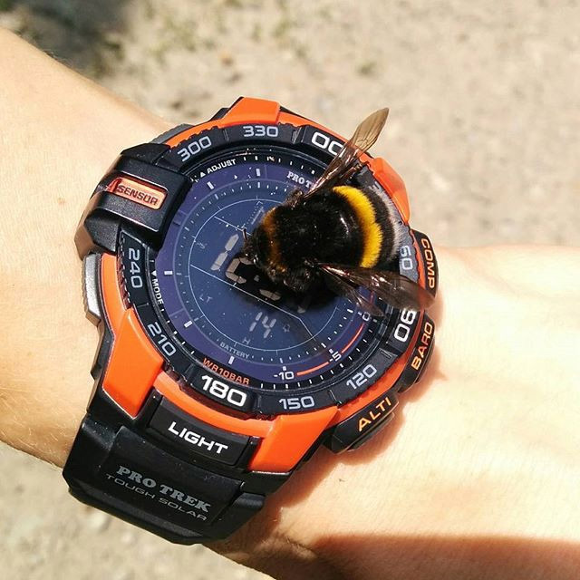 Casio PRG-270-4ER Casio PRG-270-4ER