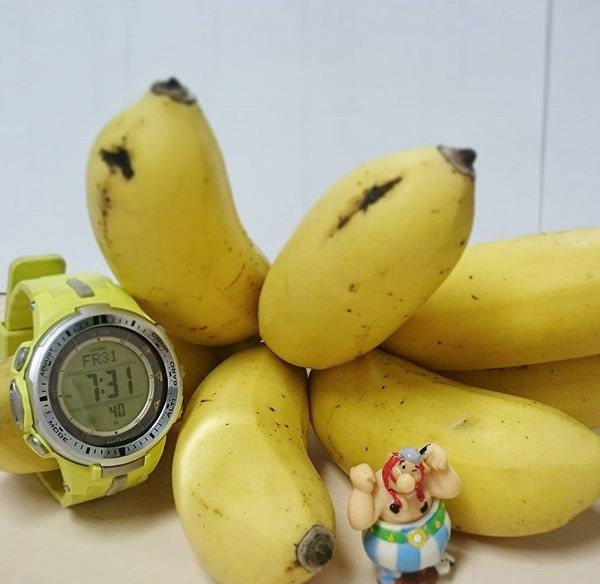 Casio PRW-3000-9BER Casio PRW-3000-9BER