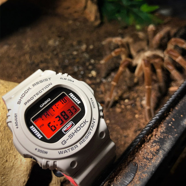 Casio DW-5700SF-1ER Casio DW-5700SF-1ER