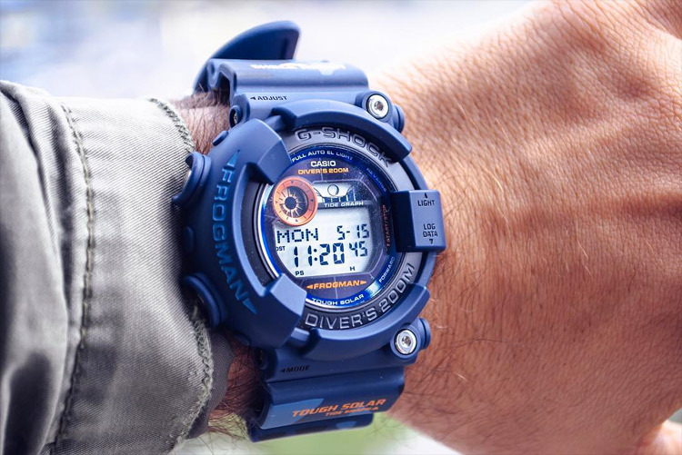 Casio GF-8250CM-2ER Casio GF-8250CM-2ER