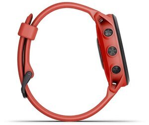 Garmin 010-02445-12 Garmin 010-02445-12