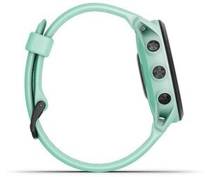 Garmin 010-02445-11 Garmin 010-02445-11