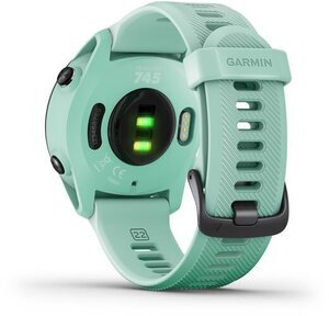 Garmin 010-02445-11 Garmin 010-02445-11
