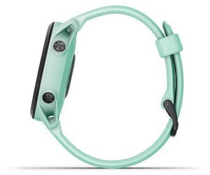 Garmin 010-02445-11 Garmin 010-02445-11