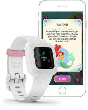 Garmin 010-02441-12 Garmin 010-02441-12