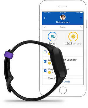 Garmin 010-02441-10 Garmin 010-02441-10