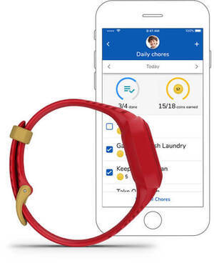 Garmin 010-02441-11 Garmin 010-02441-11