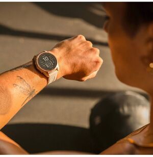 Garmin 010-02539-21 Garmin 010-02539-21