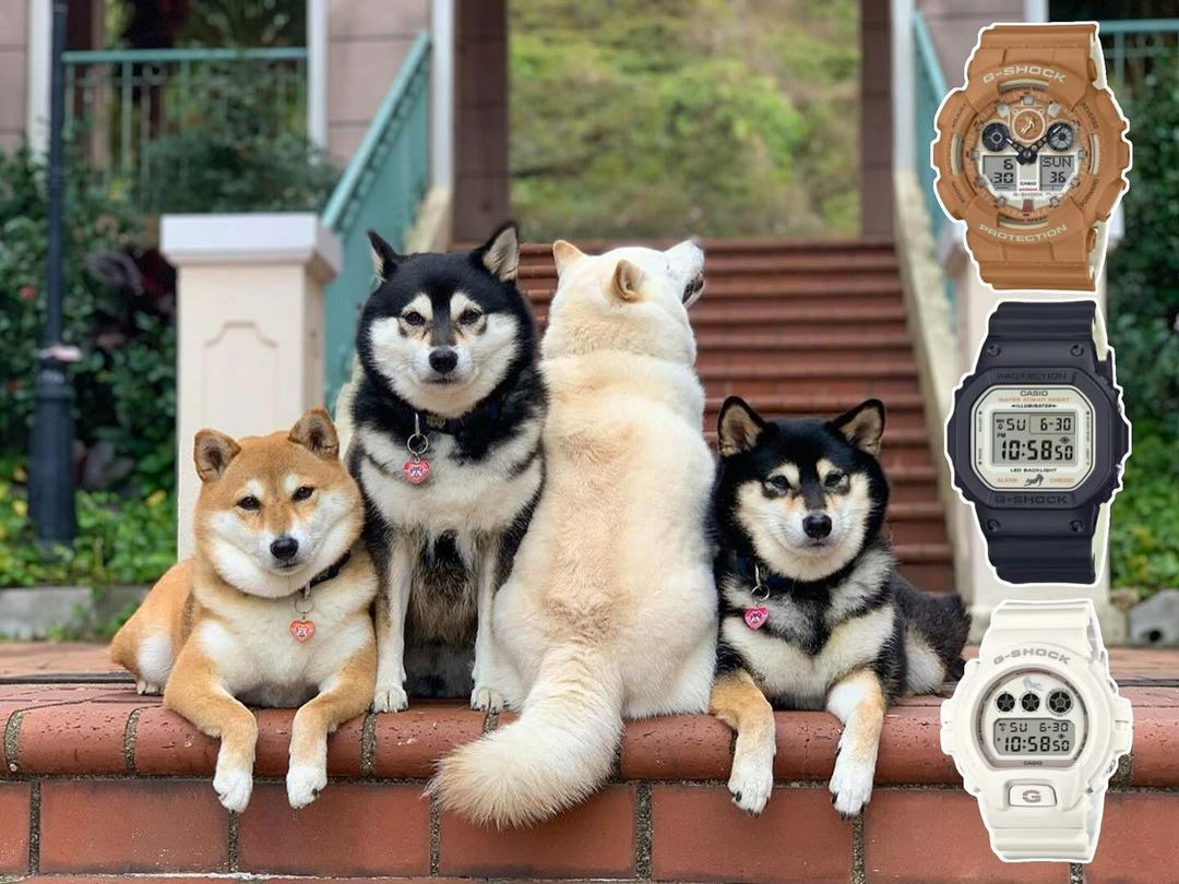 Casio DW-5600SHB-1E Casio DW-5600SHB-1E